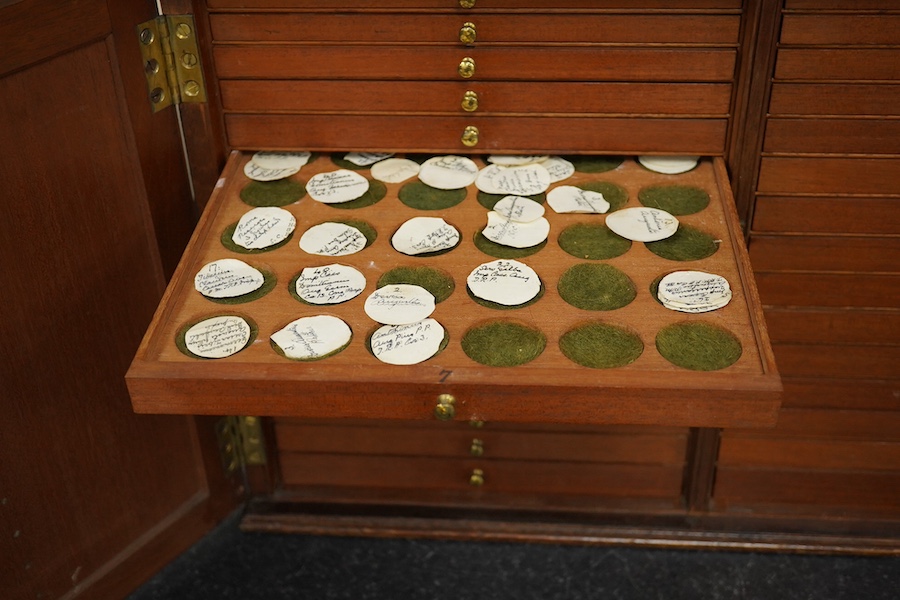 A 19th century mahogany coin collector’s cabinet, 62cm wide